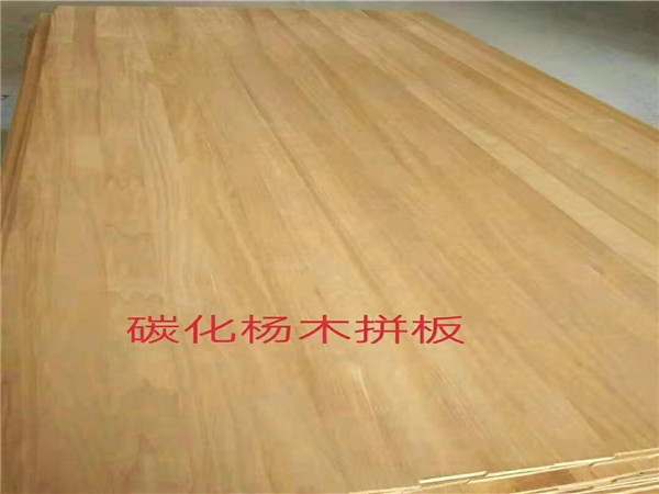 碳化杨木